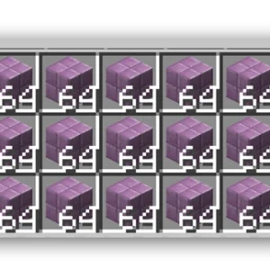 Purpur bricks
