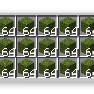 Moss Blocks